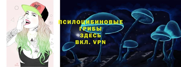 спиды Абинск