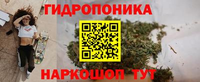 соль ск Сланцы