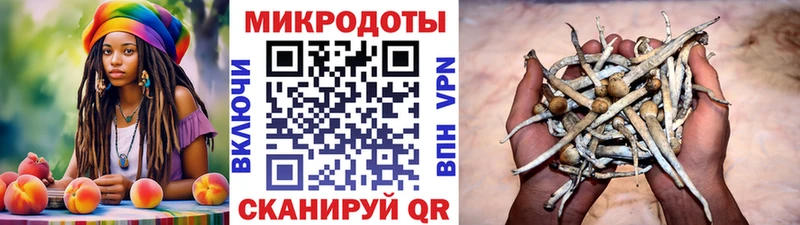 дарнет шоп  Югорск  Галлюциногенные грибы Psilocybine cubensis 
