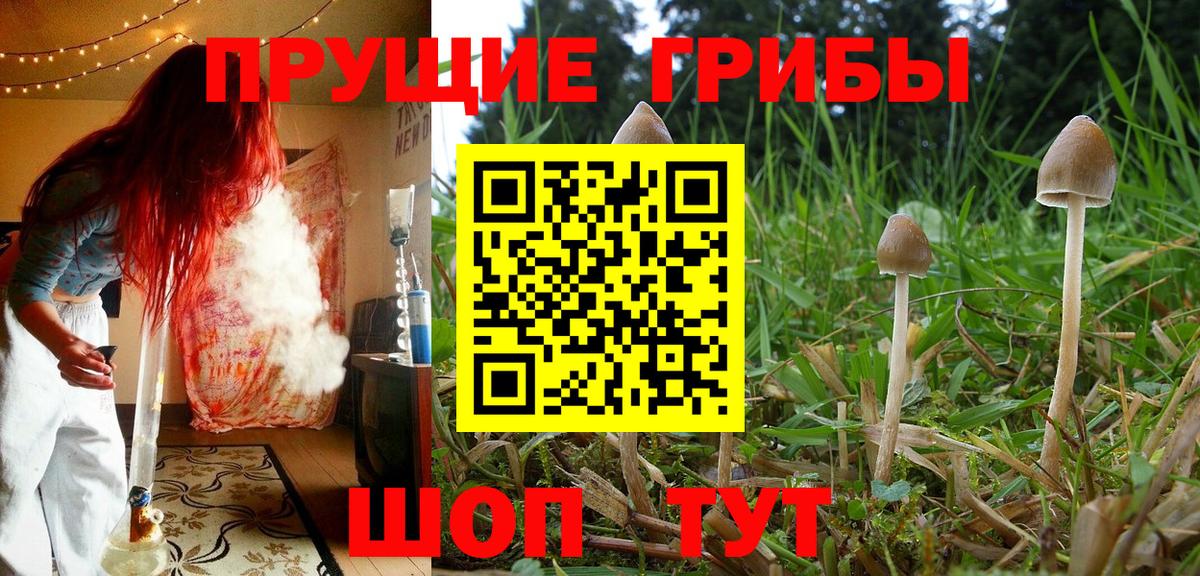 закладки  Псилоцибиновые грибы мухоморы  Вход с VPN  Югорск 